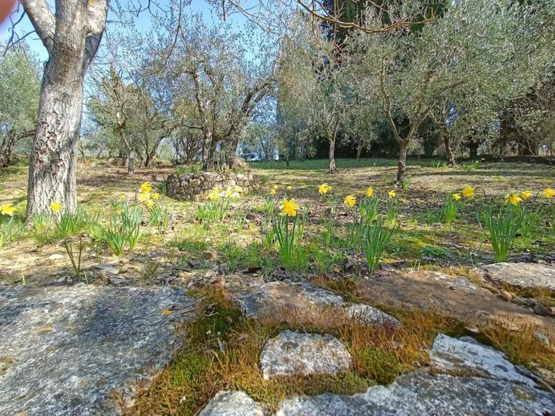 Poggio House, Tranquillita E Comfort Nella Natura San Casciano in Val di Pesa Exterior foto